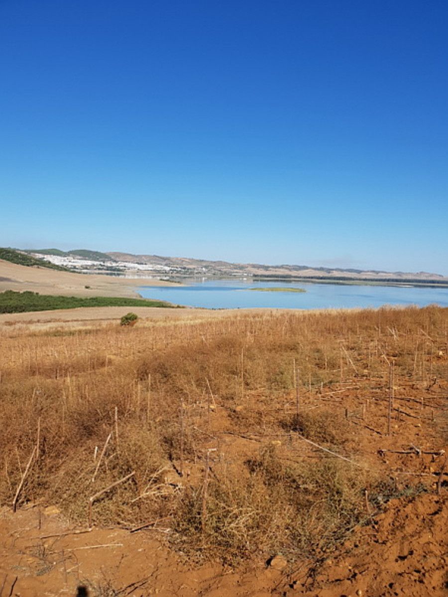 PARCELA EN VENTA EN CÁDIZ